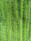 녹색은 겹 옥스포드 직물 소형 Microfiber 젖은 Mop 패드 14*48를 뒤틀었습니다
